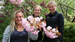 Hovedbilde av søstrene Lundberg.JPG